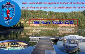 Voeux 2018