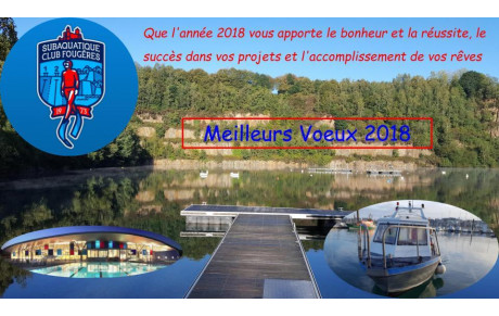 Voeux 2018