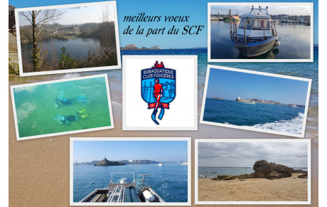 voeux 2019