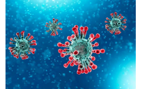 Information liée au coronavirus