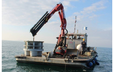 information CODEP programme &quot;MARINEFF&quot;