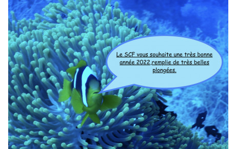 Bonne année 2022